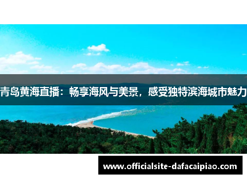 青岛黄海直播：畅享海风与美景，感受独特滨海城市魅力